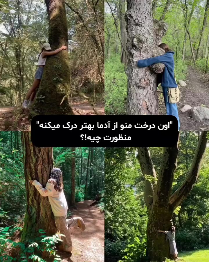 @SARA