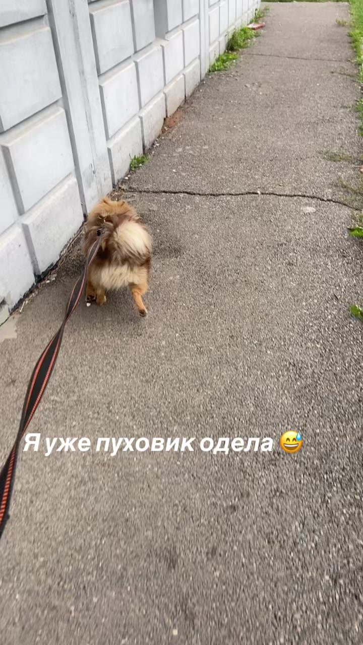 @Natali