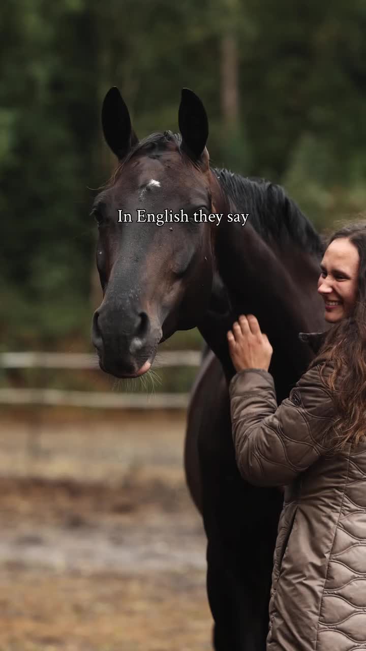 @ThunderGallops