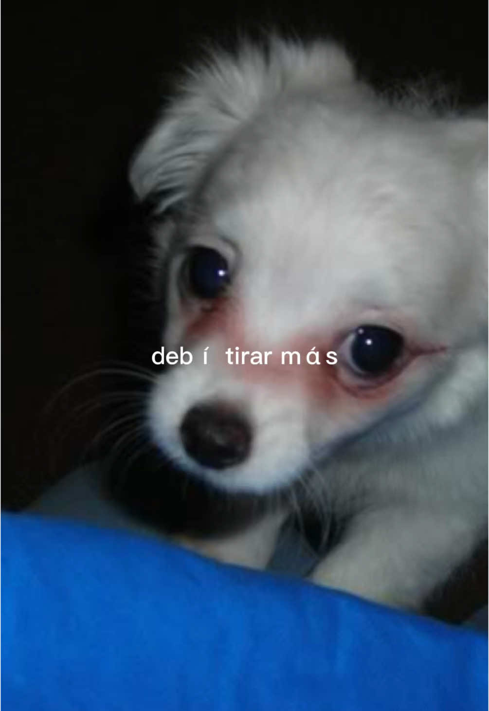 @Heidy