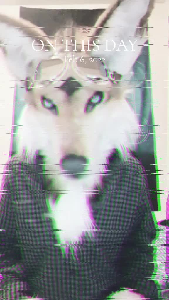 @SaltyFox