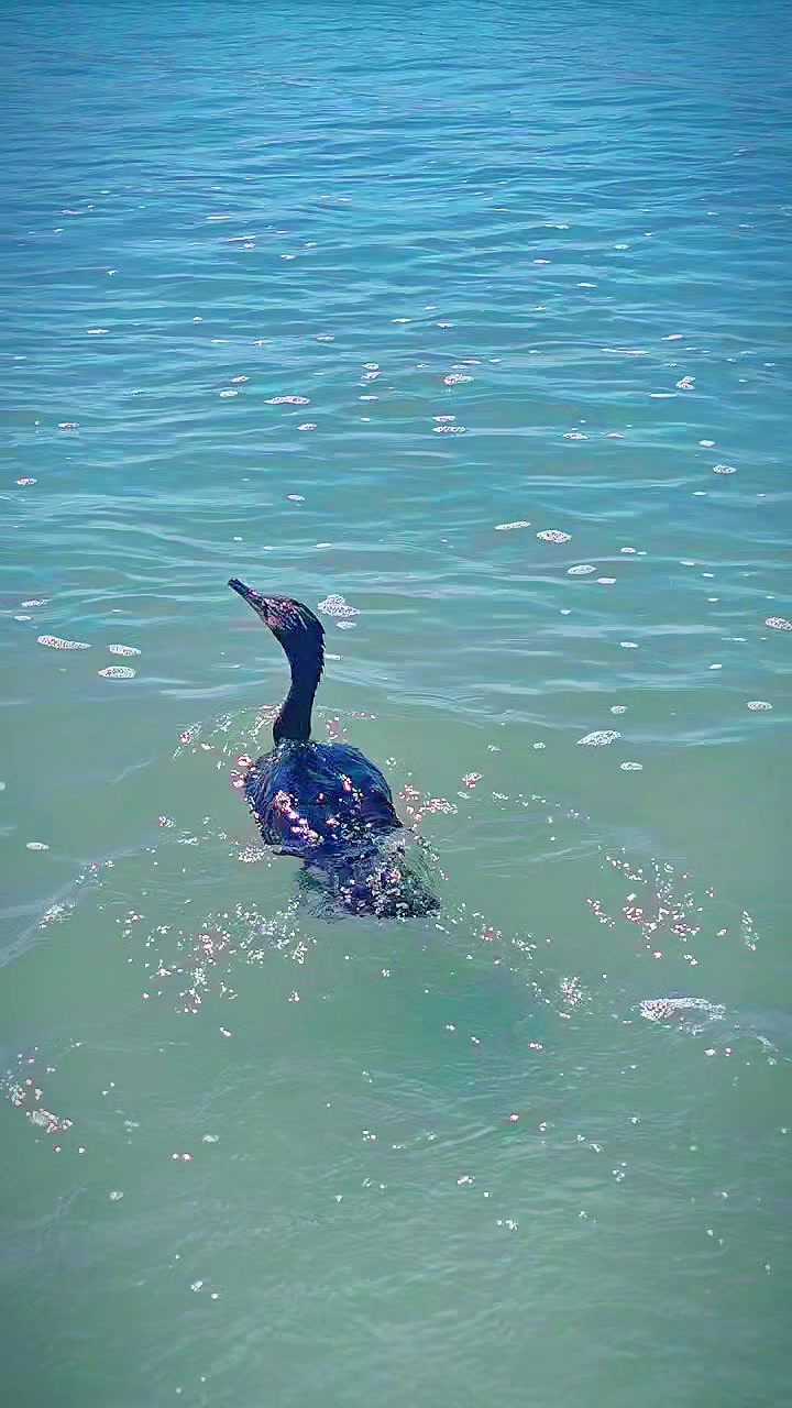 @justbeachy