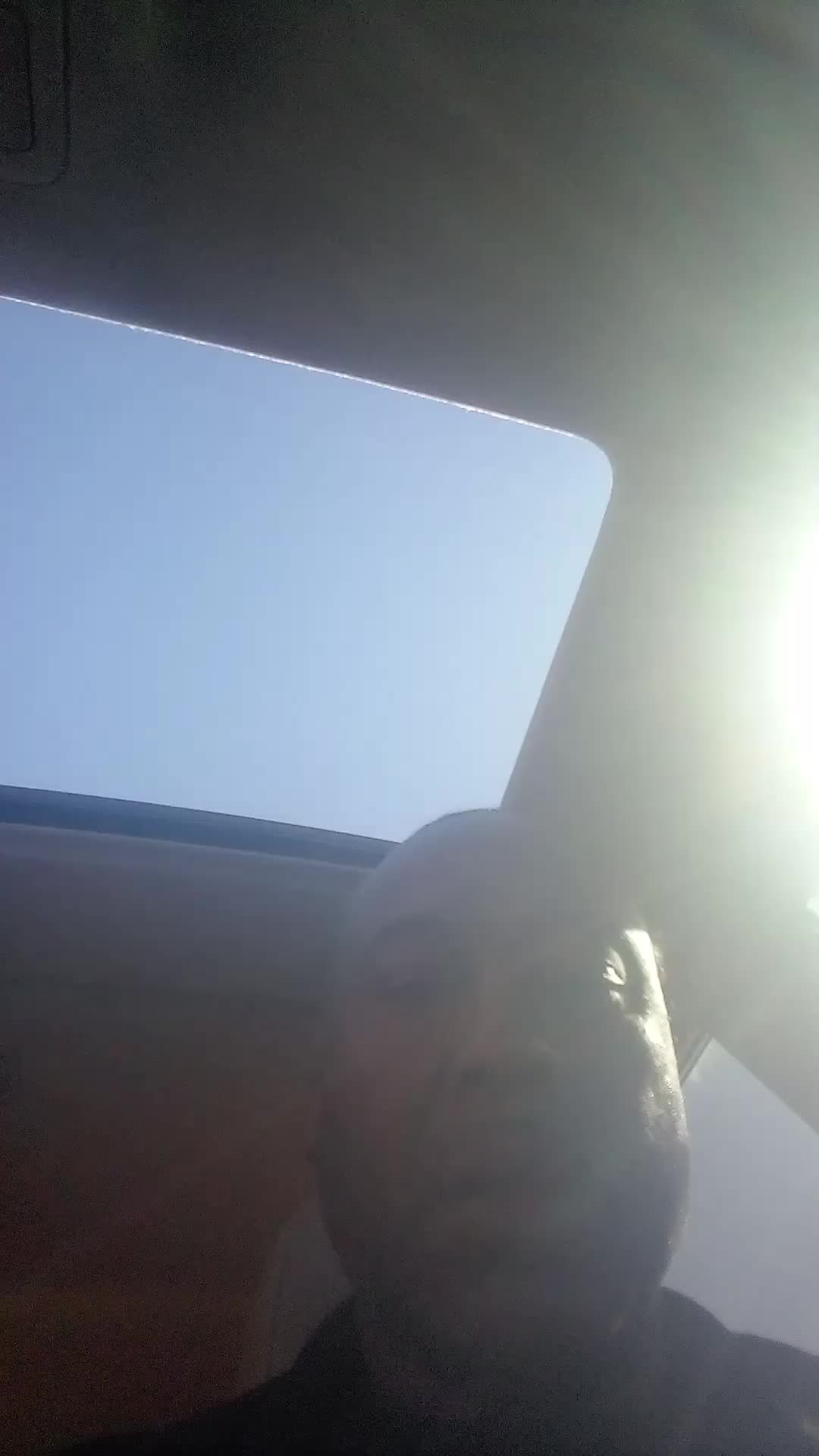 @L Boogie