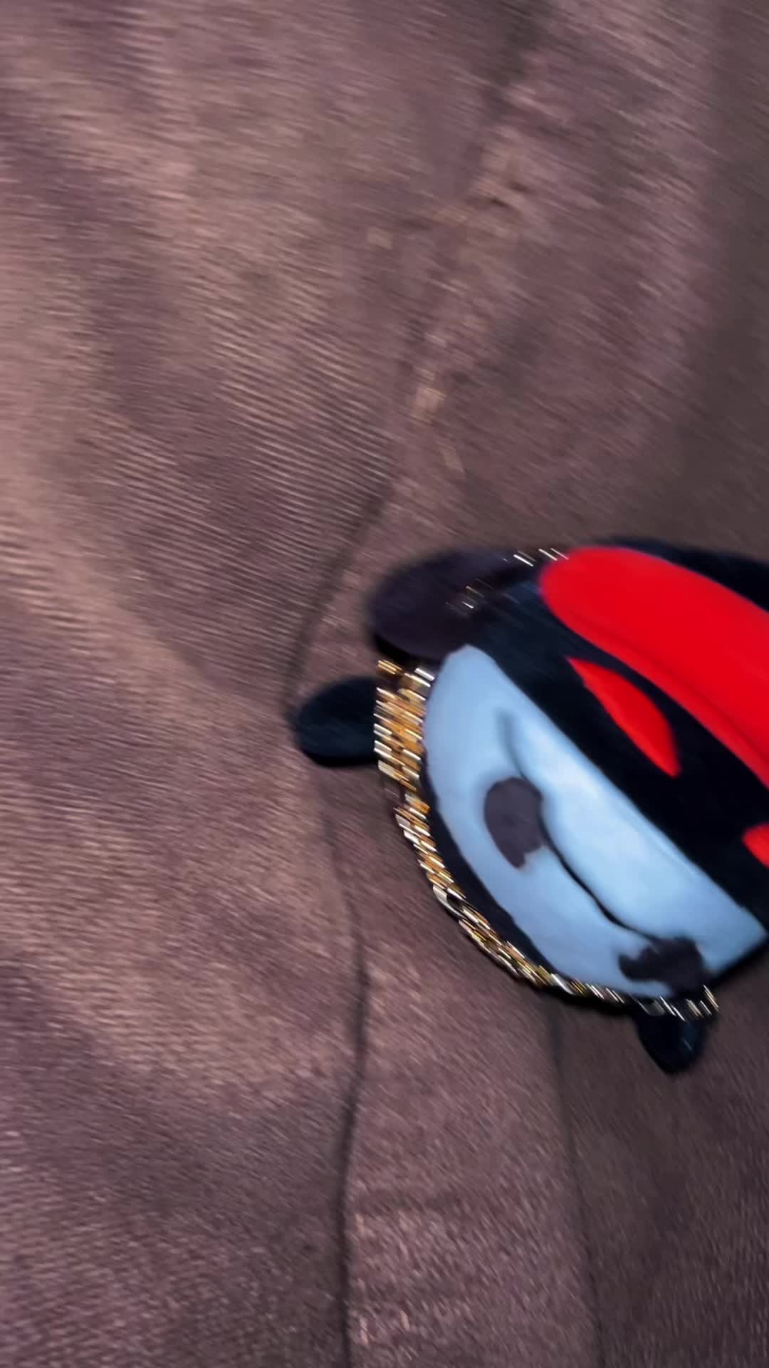 @⋆˙⟡ Caz🪲