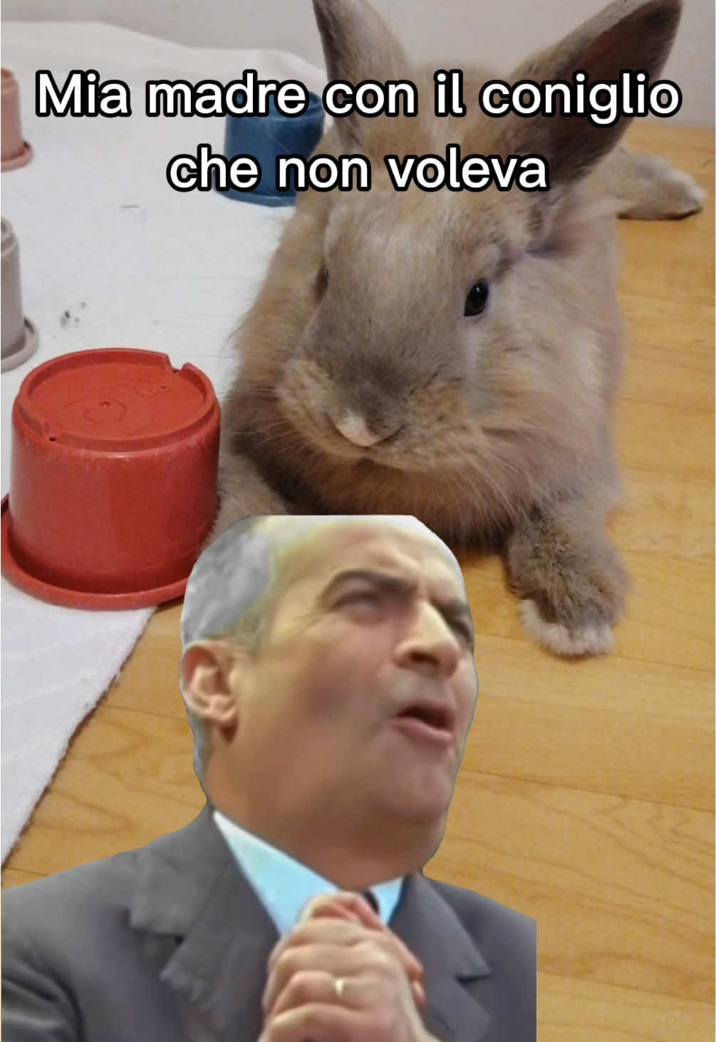 @Gloria Lissoni