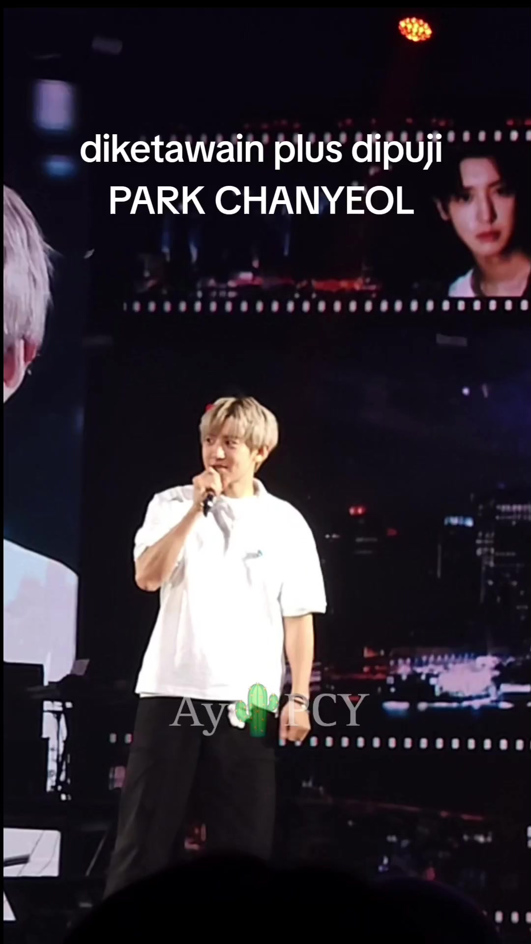 @Ay🌵디오