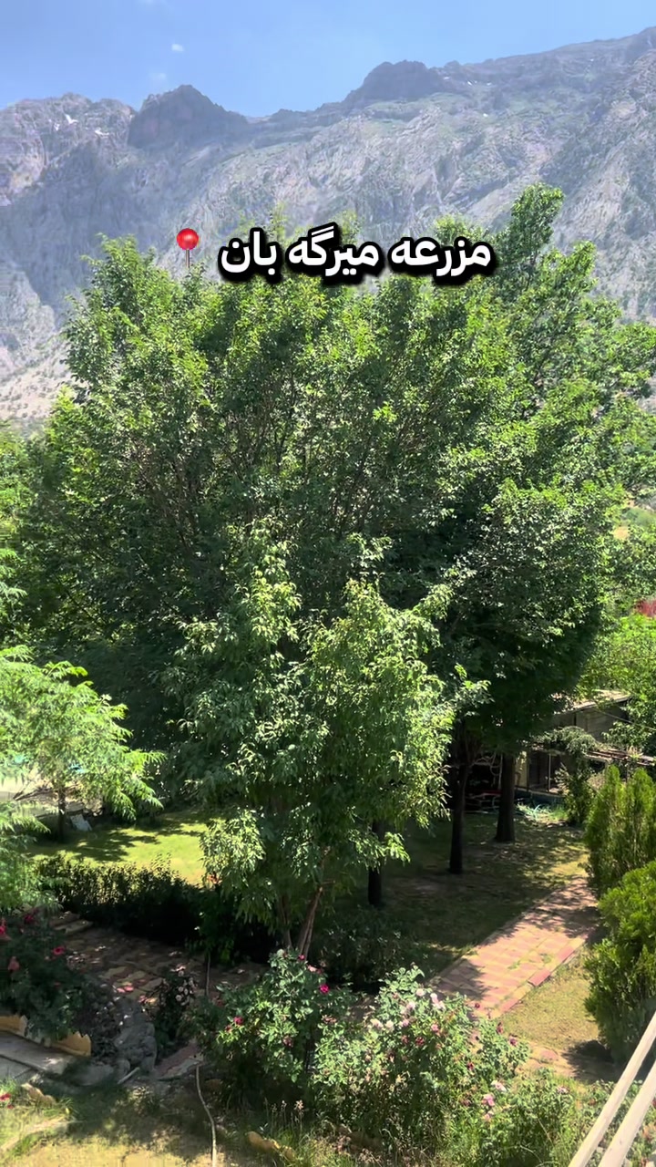 @Noor Alfyle