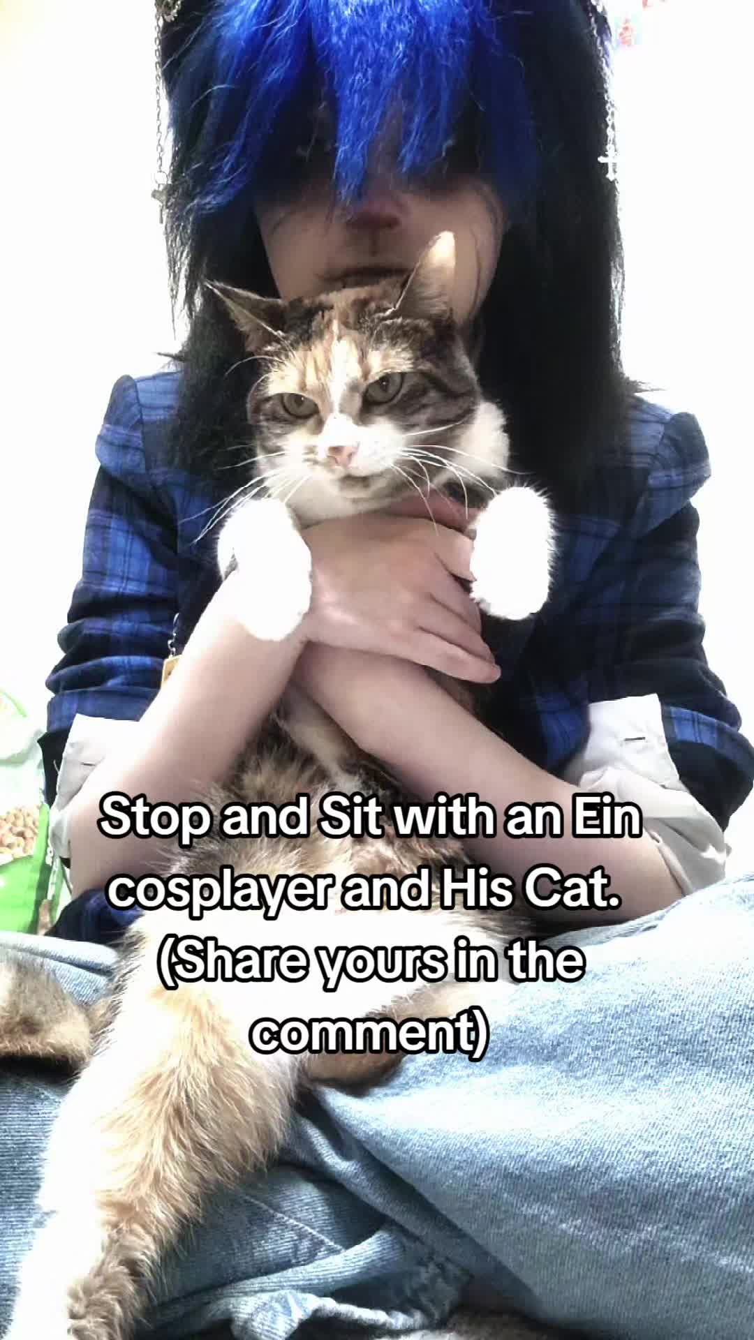 @《Kei》