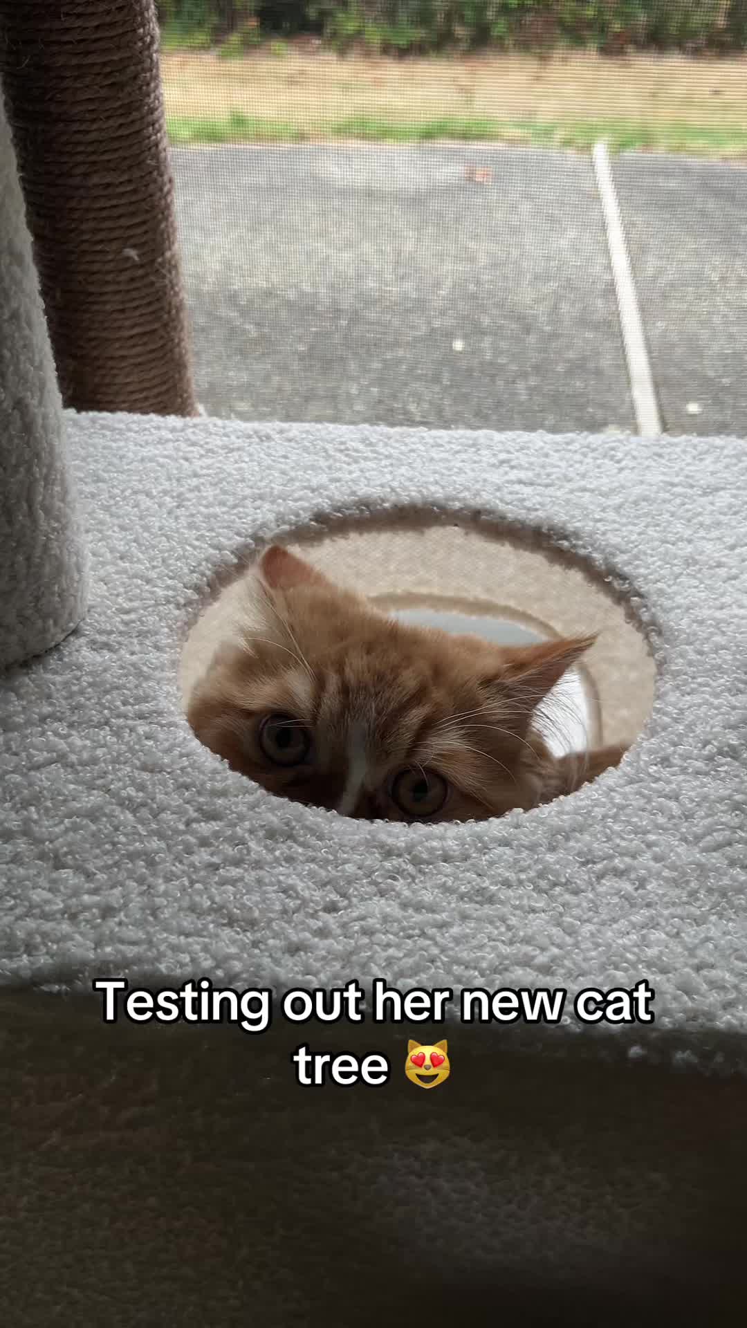 @somithepersian