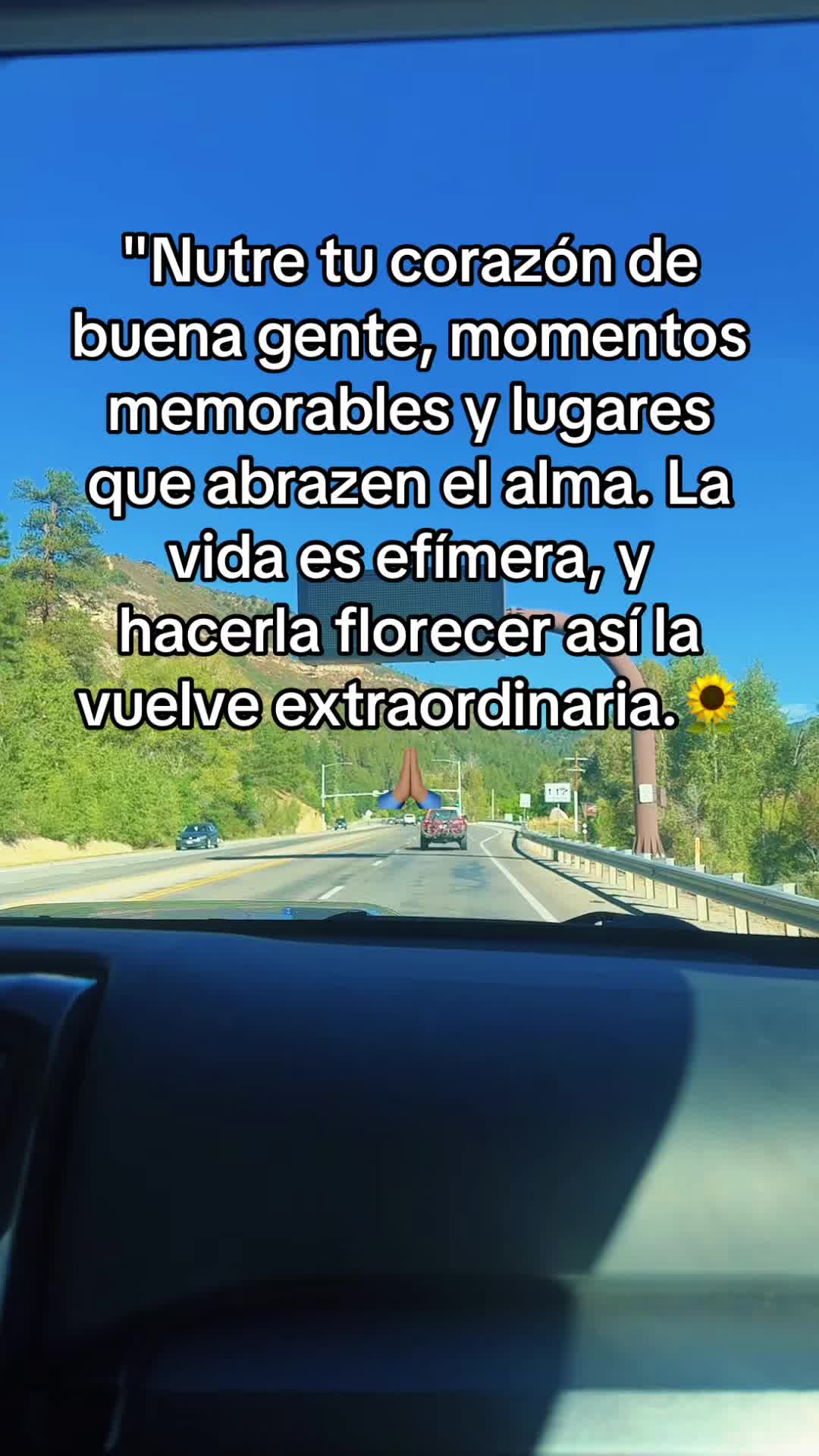 @🍑 Iveth Tripp🍑