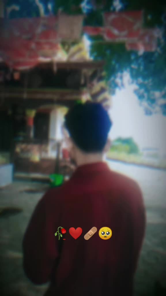 @Leonine ๐ฆ๐๏ธ๐ช