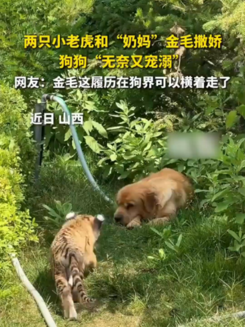 @闽南风~