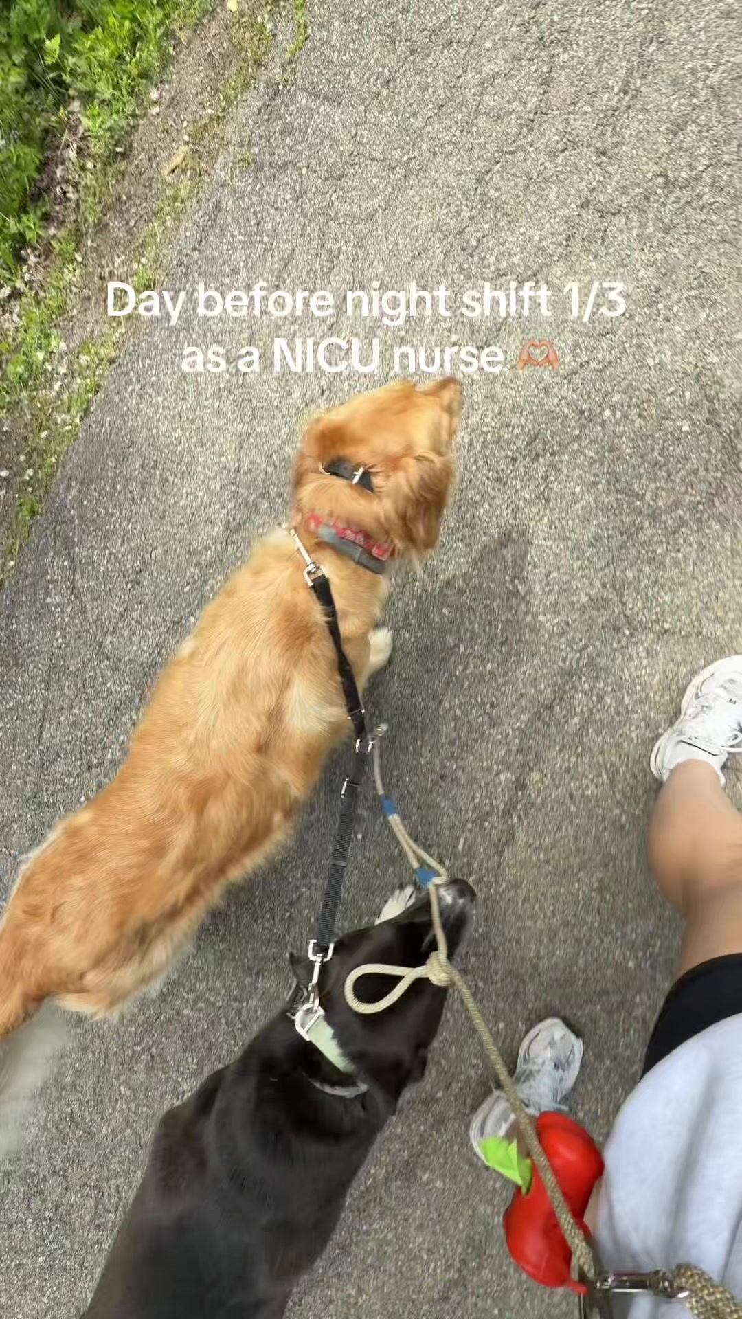 @megneumann