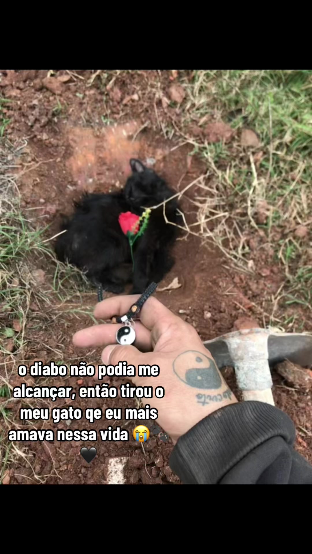 @Robsonying