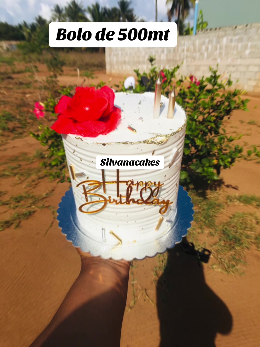 @SilvanaCakes🎂🧁🍪