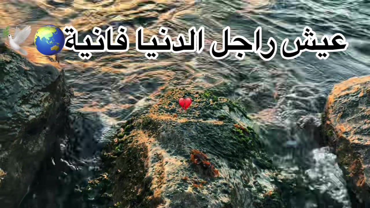 @🪫🐊ال تـمــسـاح🐊💧
