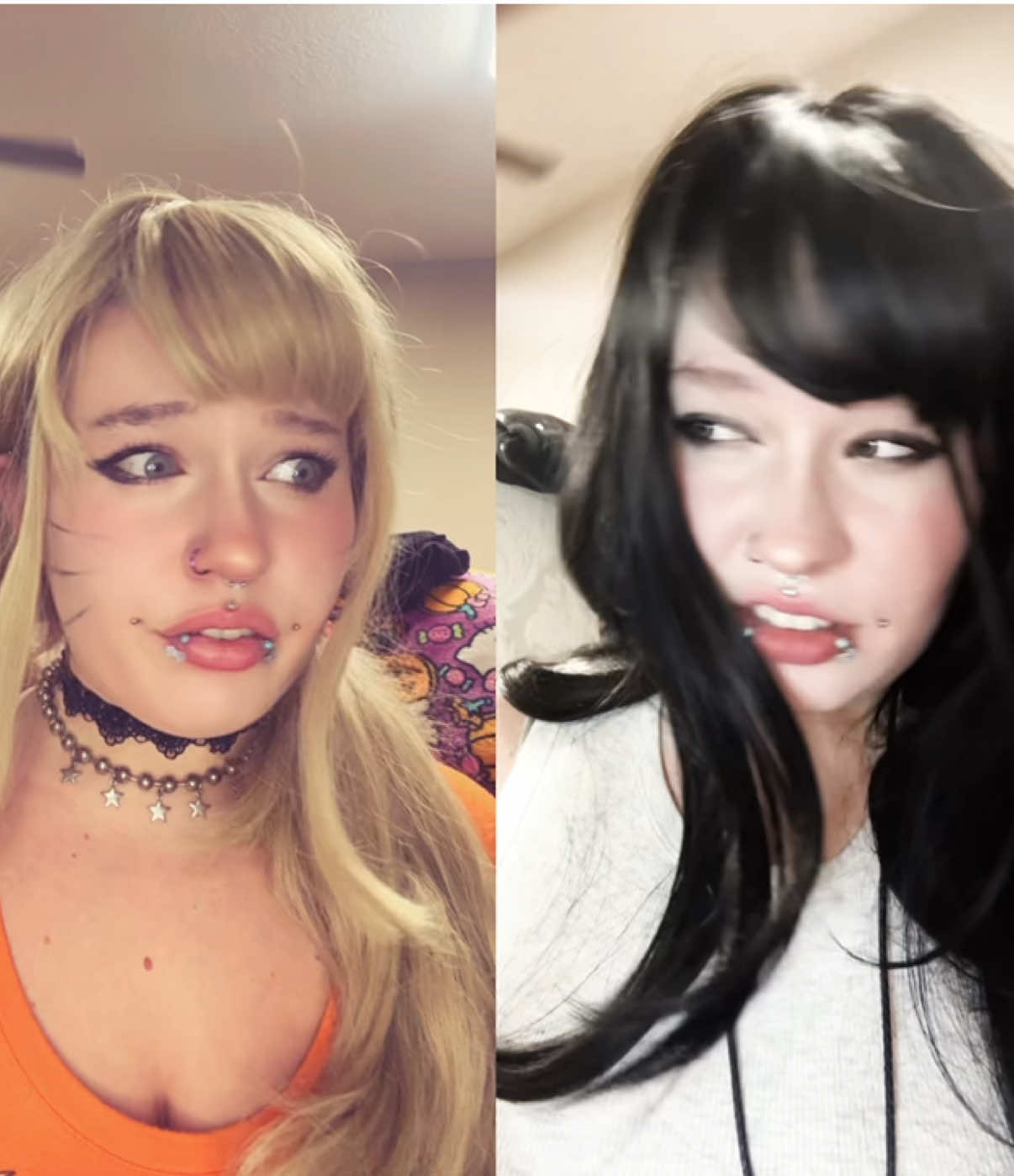 @lnzes