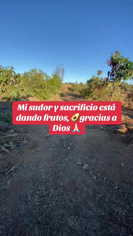 @Elo Santana 🥑🍊🍋