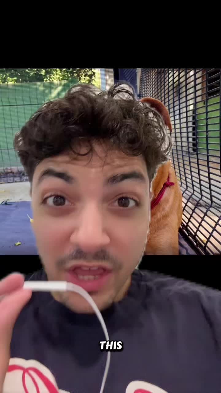 @Sbladn