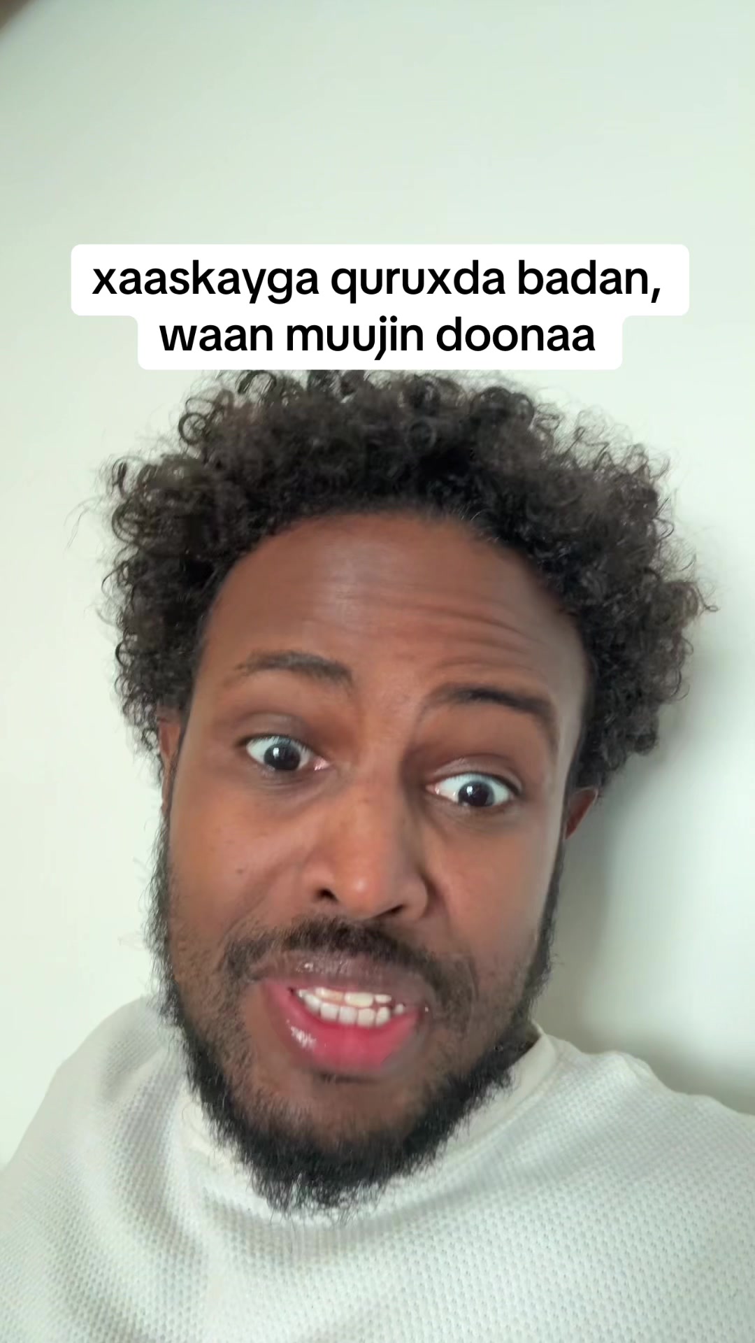 @FarahNEWS