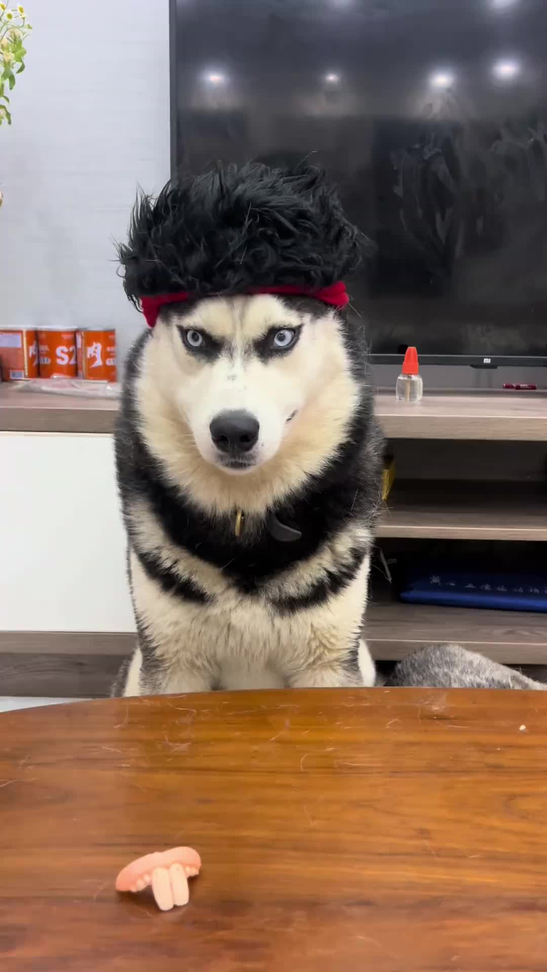 @Maxxxxxxx
