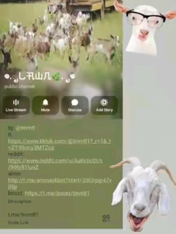 @.ೃ࿐几卂ㄒ卂丂卄丨ㄒೃ༄*ੈ