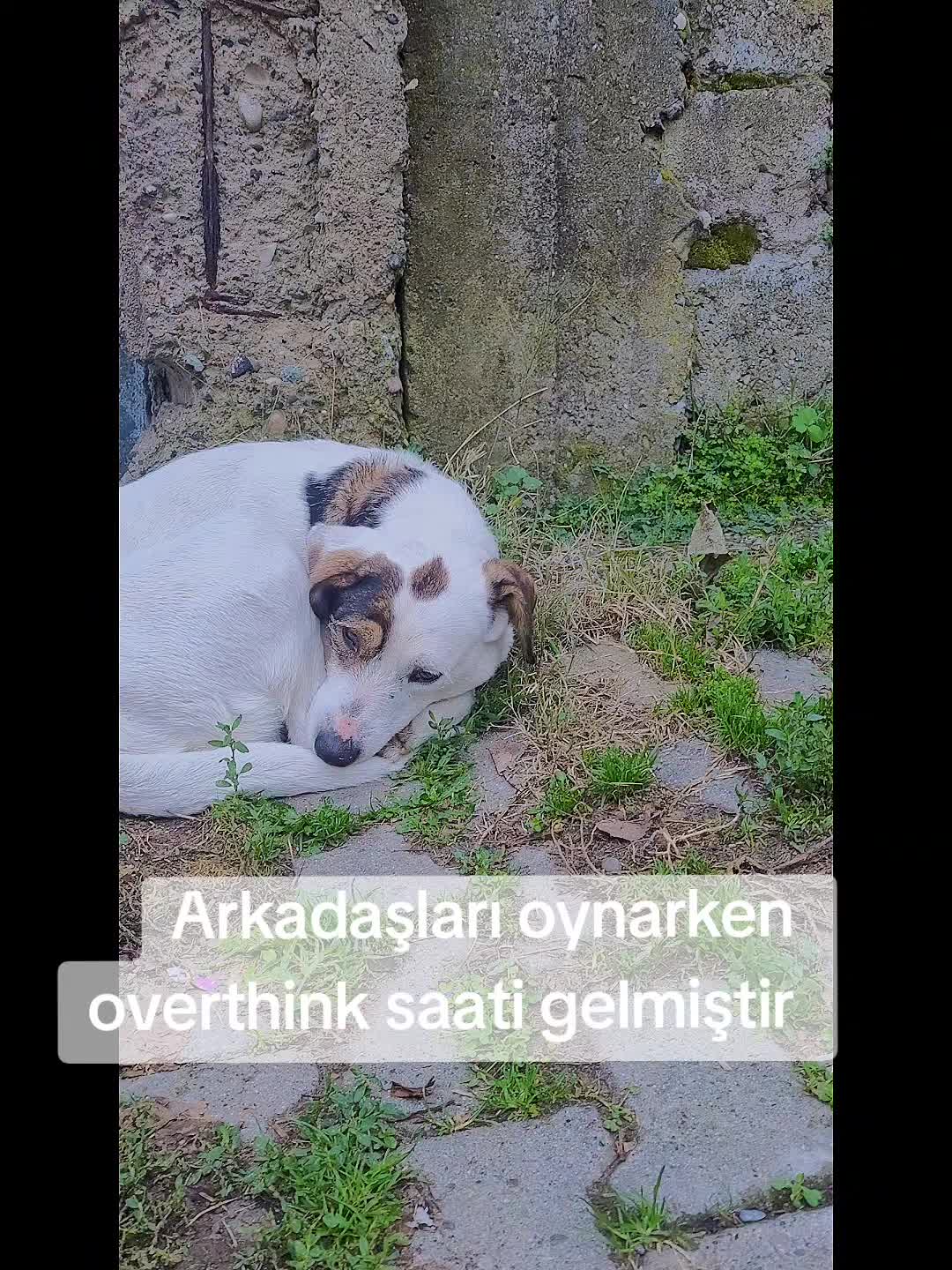 @Berkan odabaş