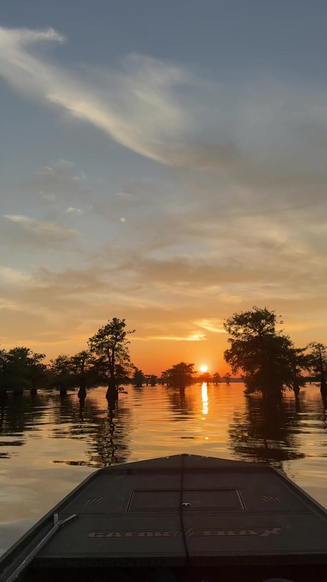 @Caddo Lake FirstCastCabin