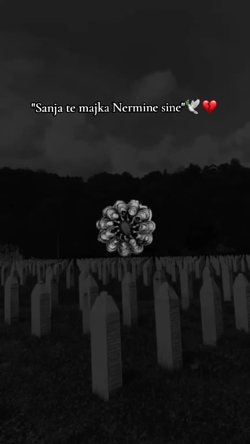 @⚜️🇧🇦🖤Podrinjka 🖤🇧🇦⚜️