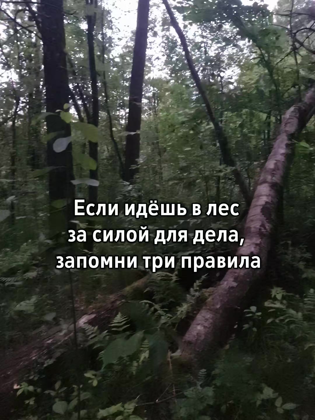 @Евгения Русская магия✔️
