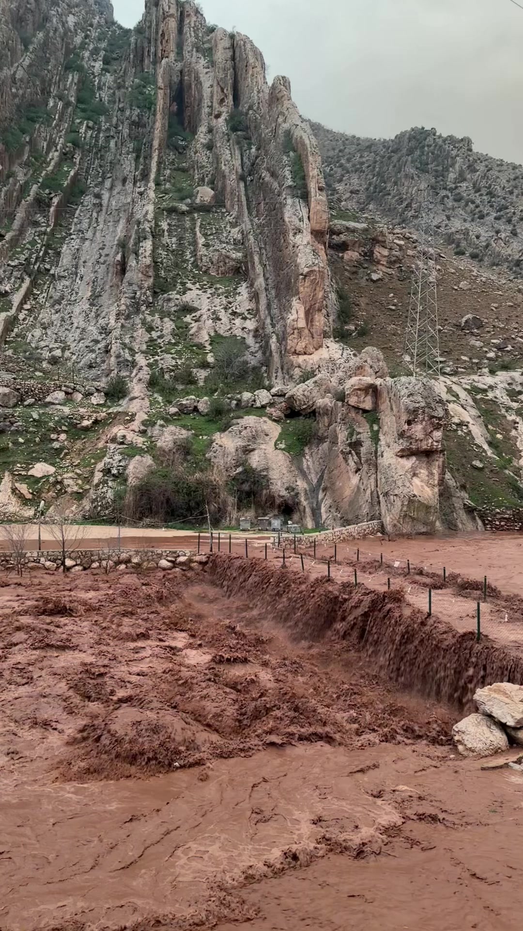 @ERCAN MERCANOĞLU