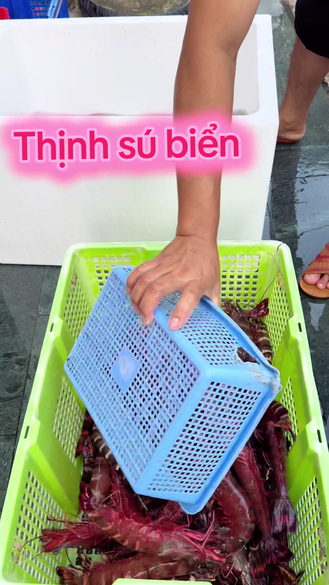 @Thịnh Sú Biển
