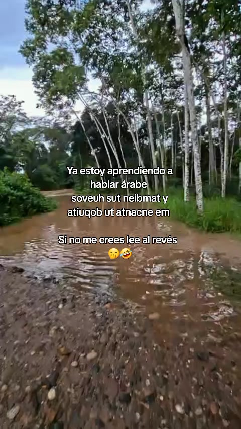 @Rosigomez💓