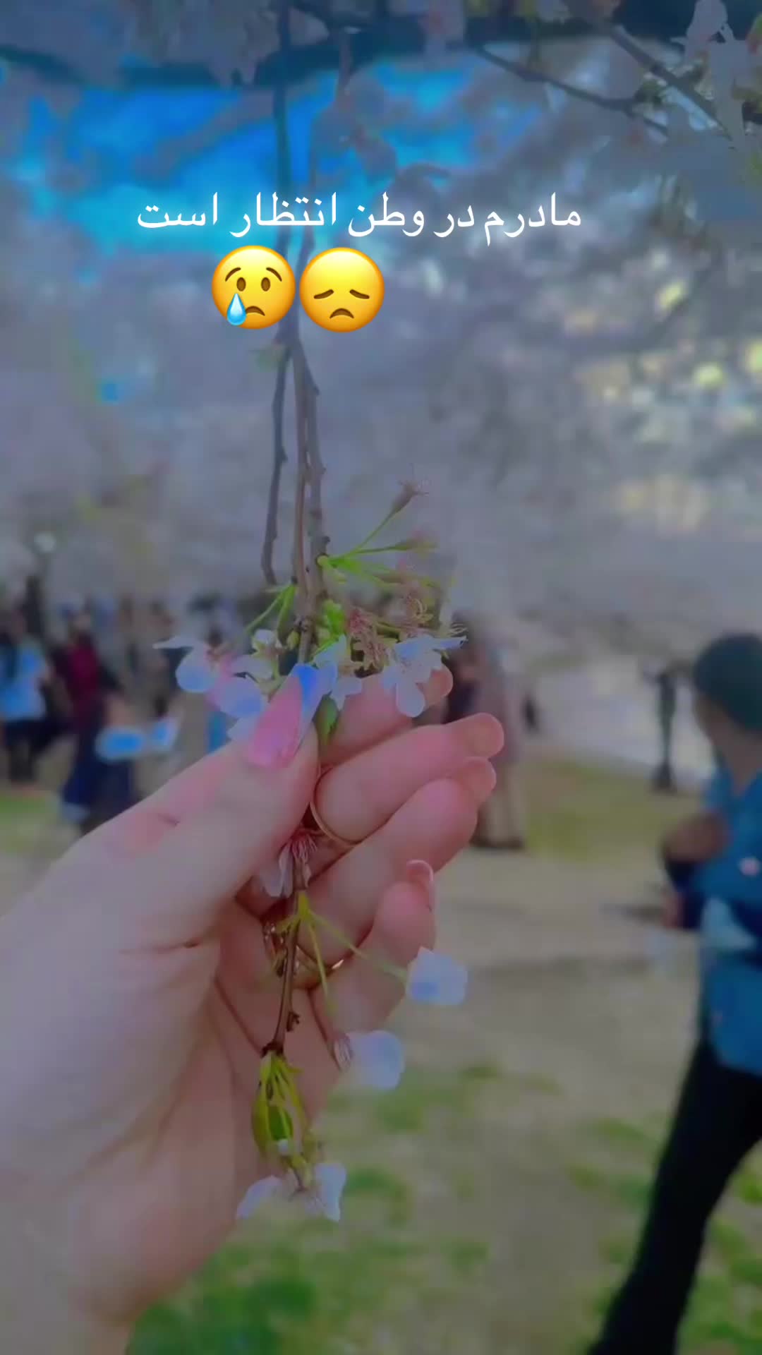 @queenhamta5