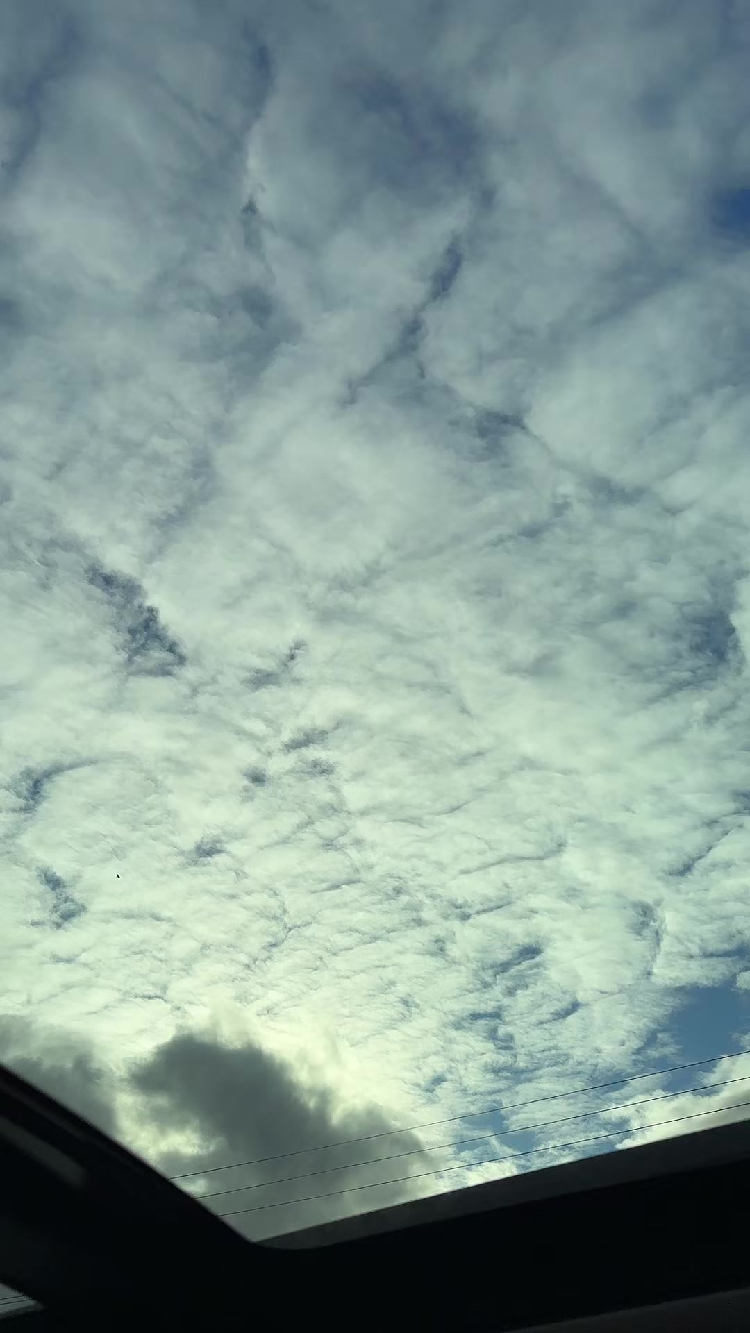 @pamelakununak