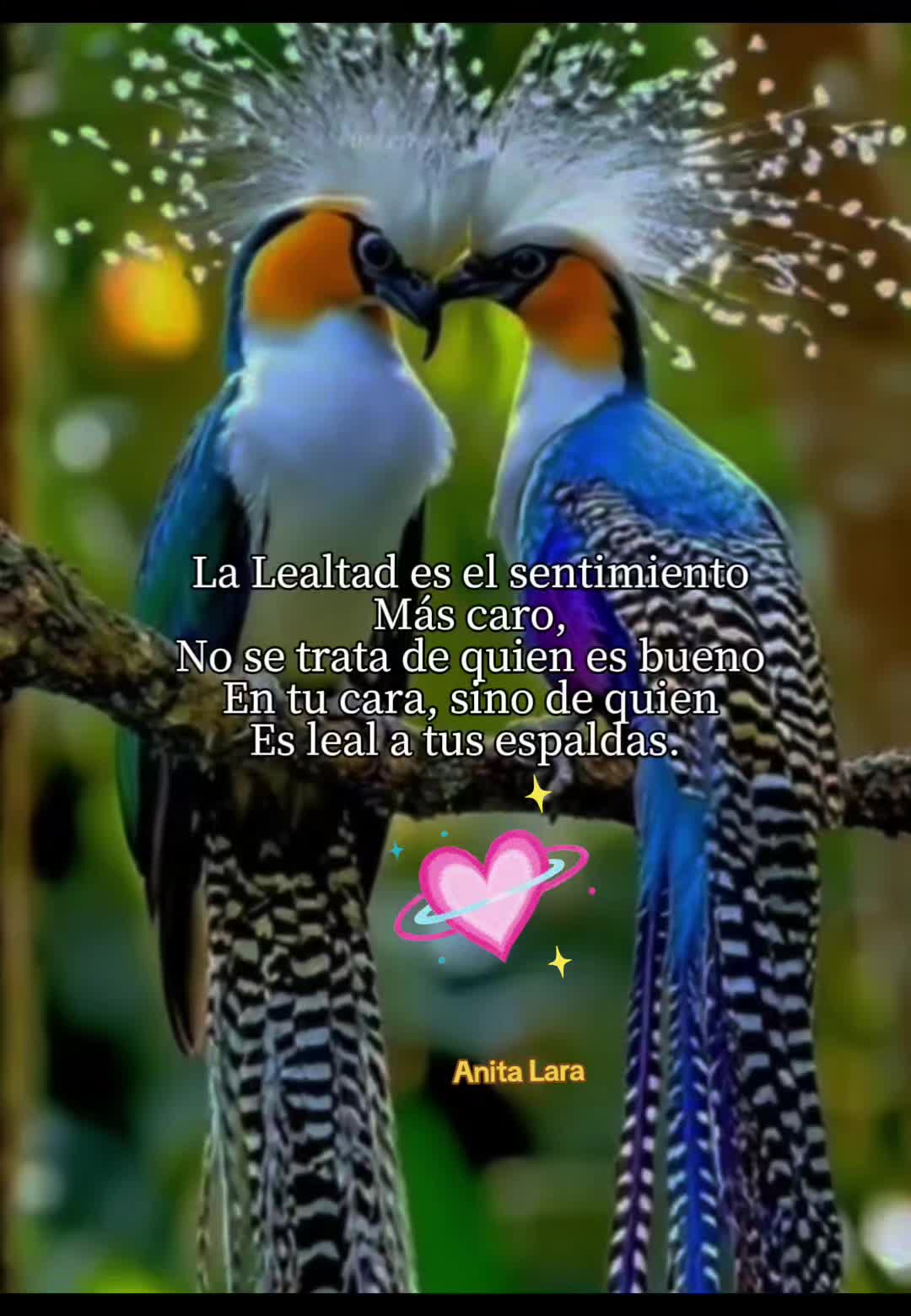 @Anita Lara