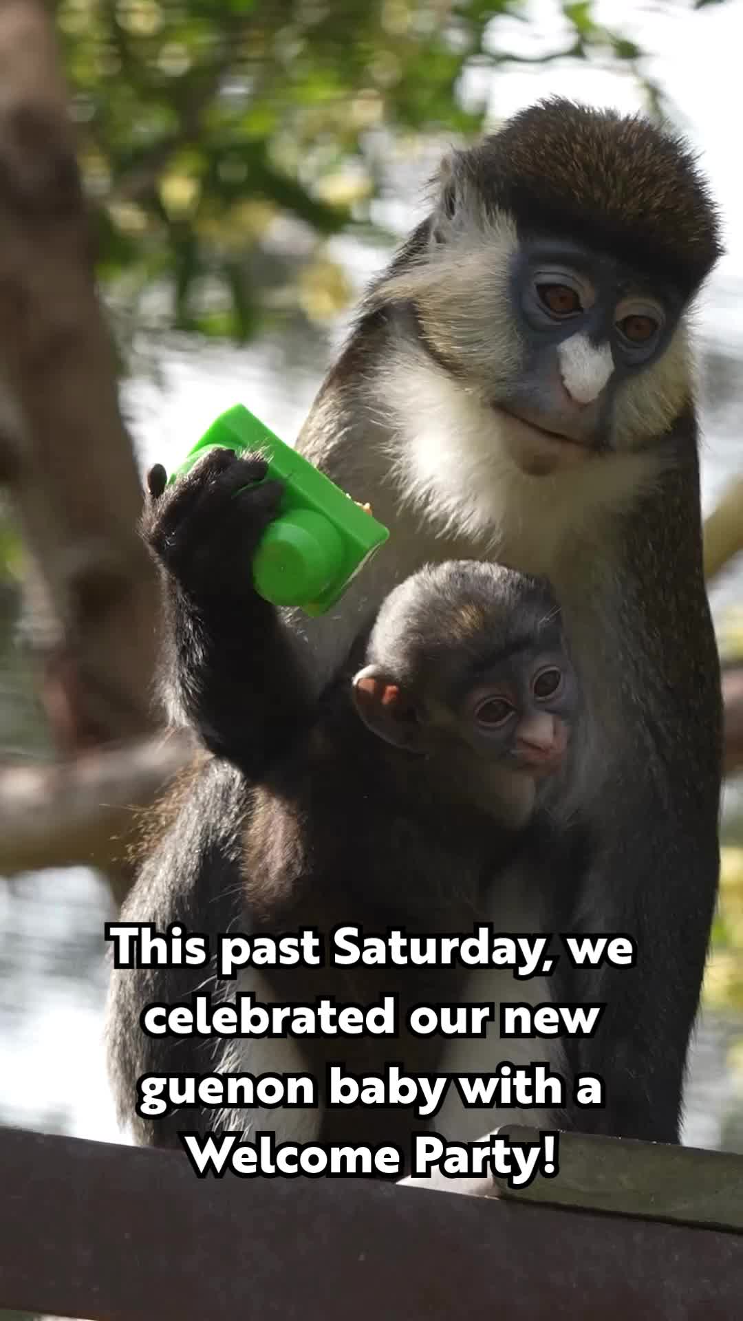 @Oakland Zoo
