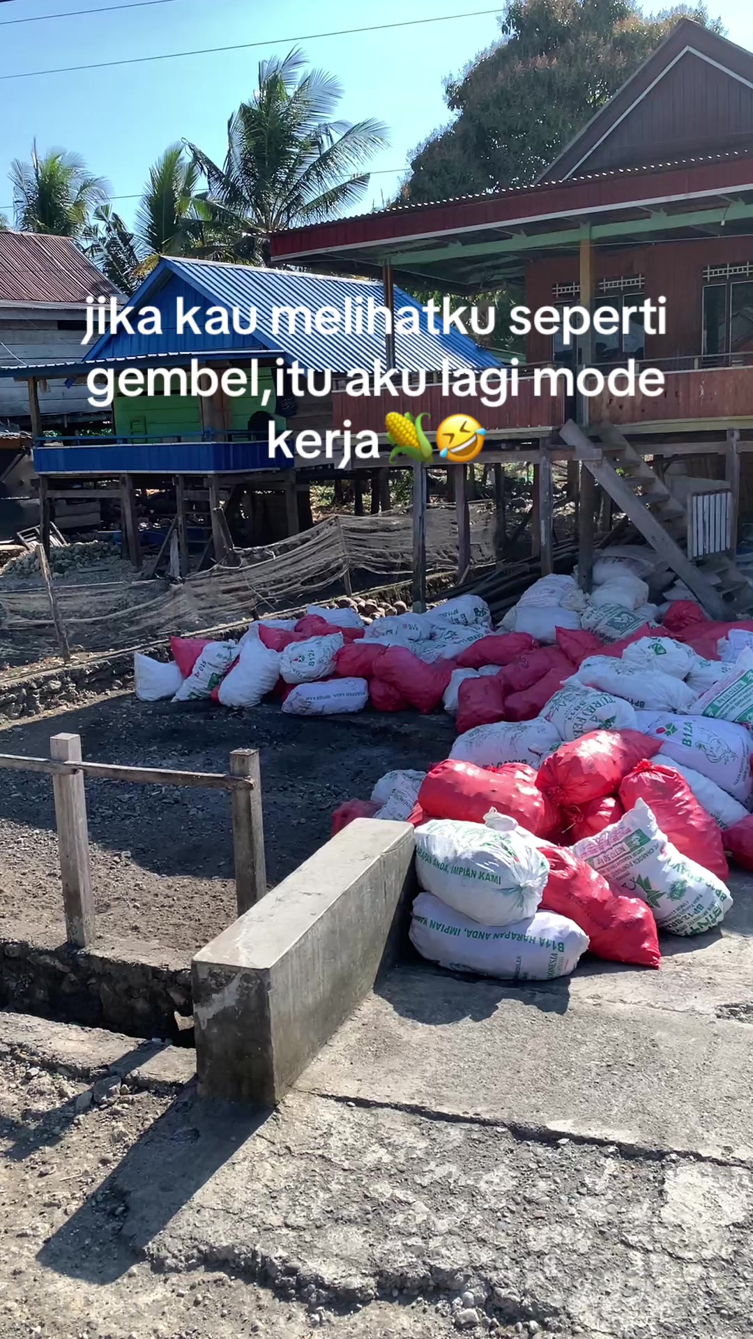 @labeccu_11