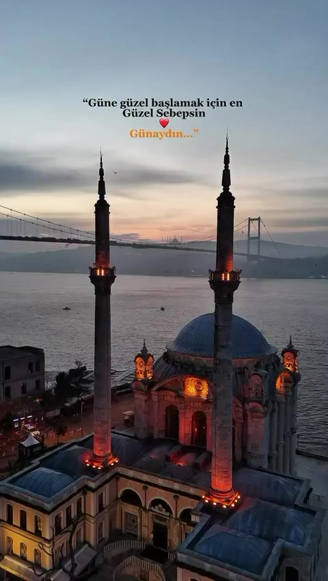 @DÜNYA BURASİ NE ARASAN İÇİNDE