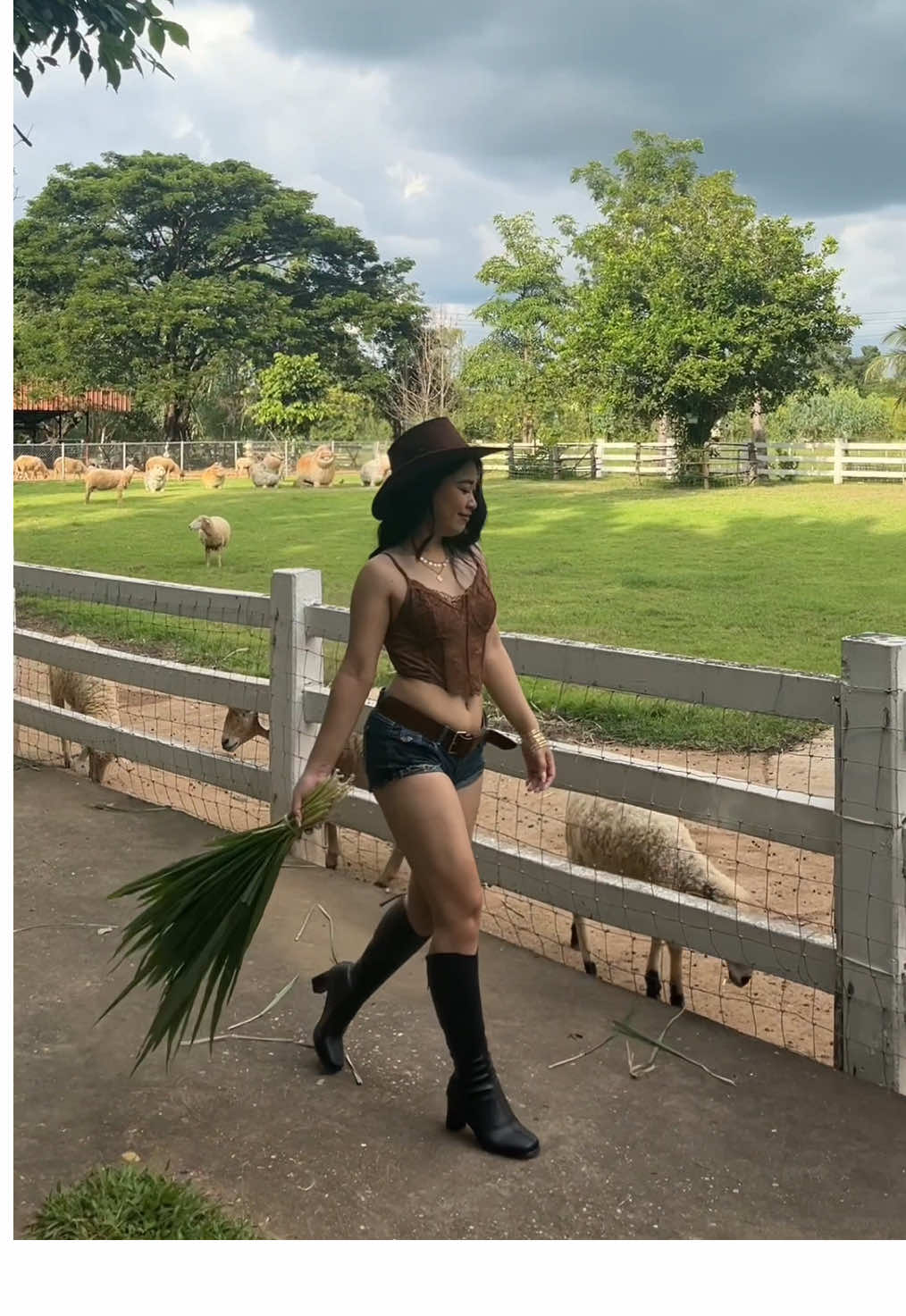 @Aonann