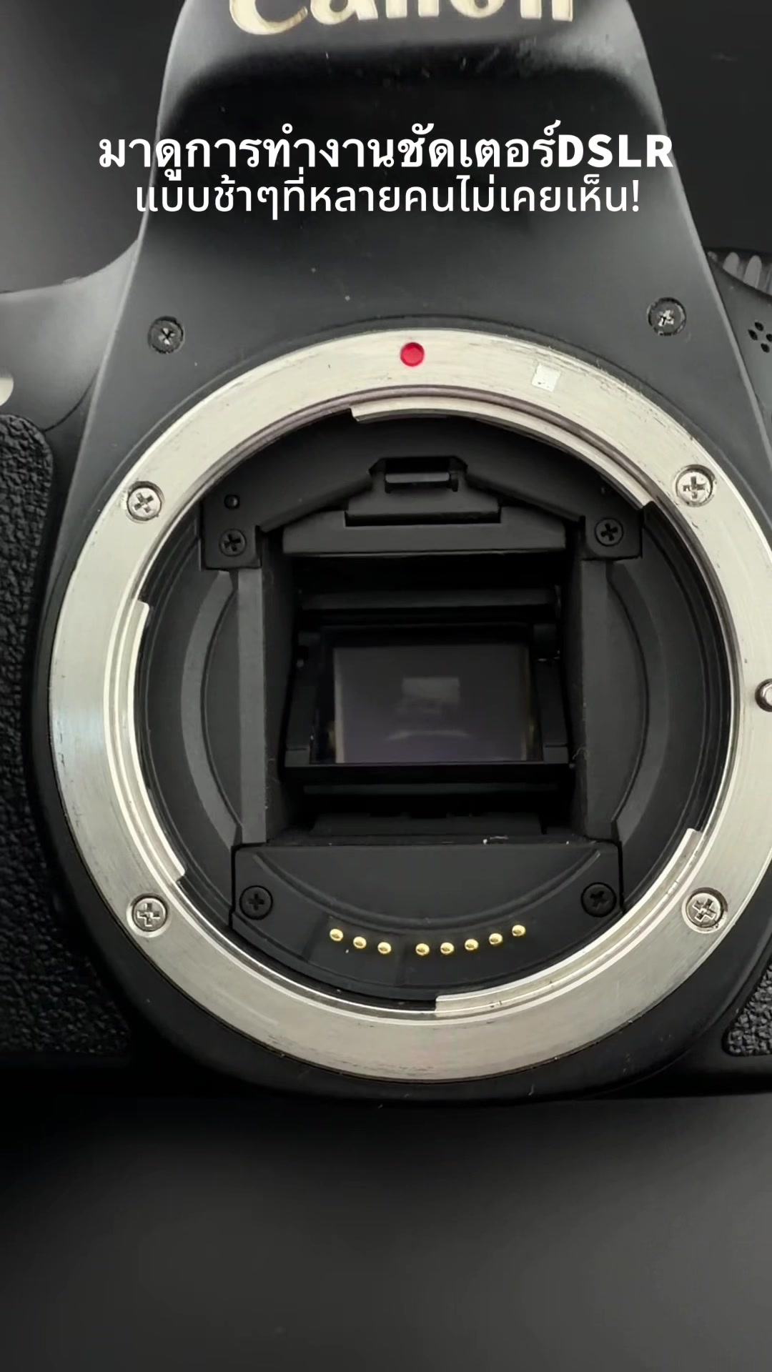 @Chalee camera