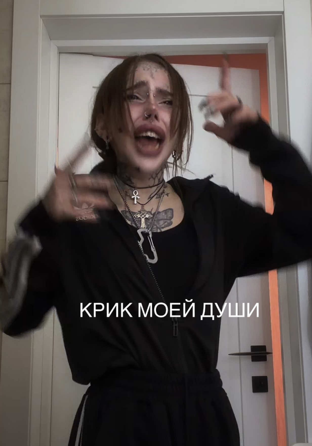 @imLapahapa 🐾