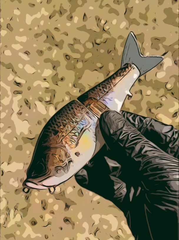 @Custom Bait Shop