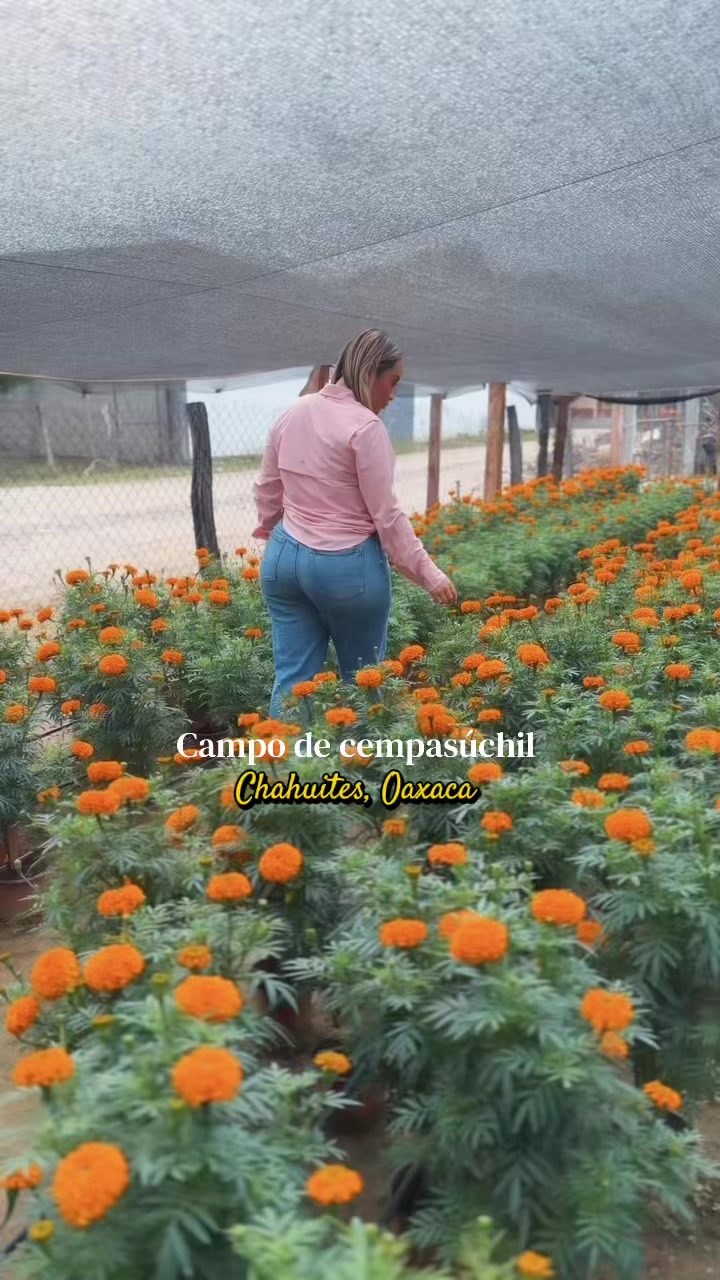 @Salma López