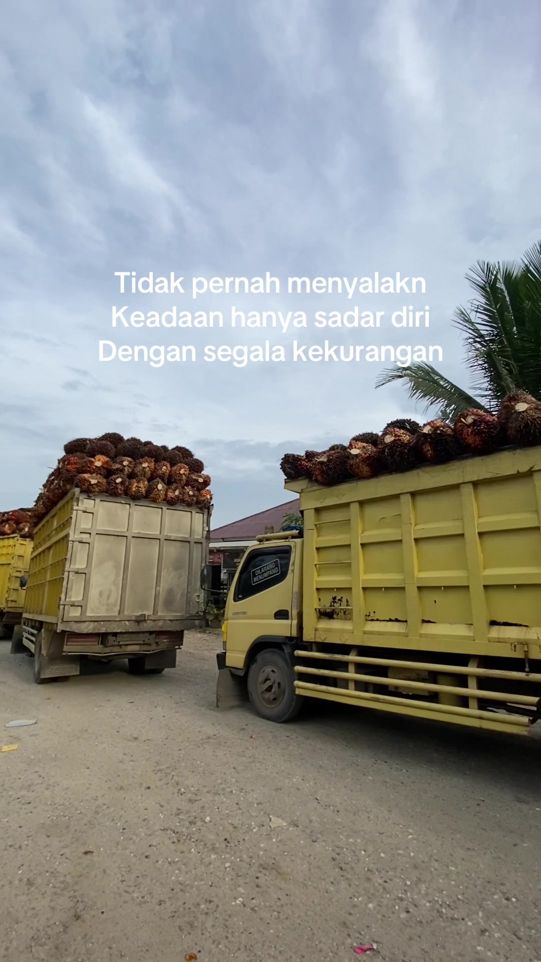 @Ridho🔥
