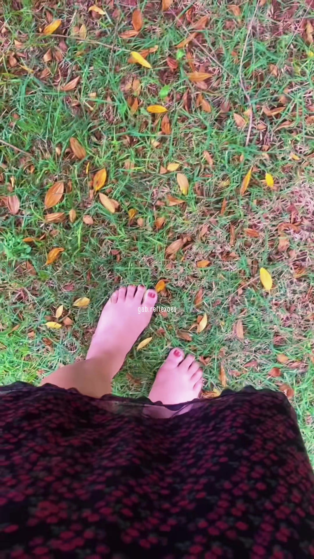 @gab.reflexoes