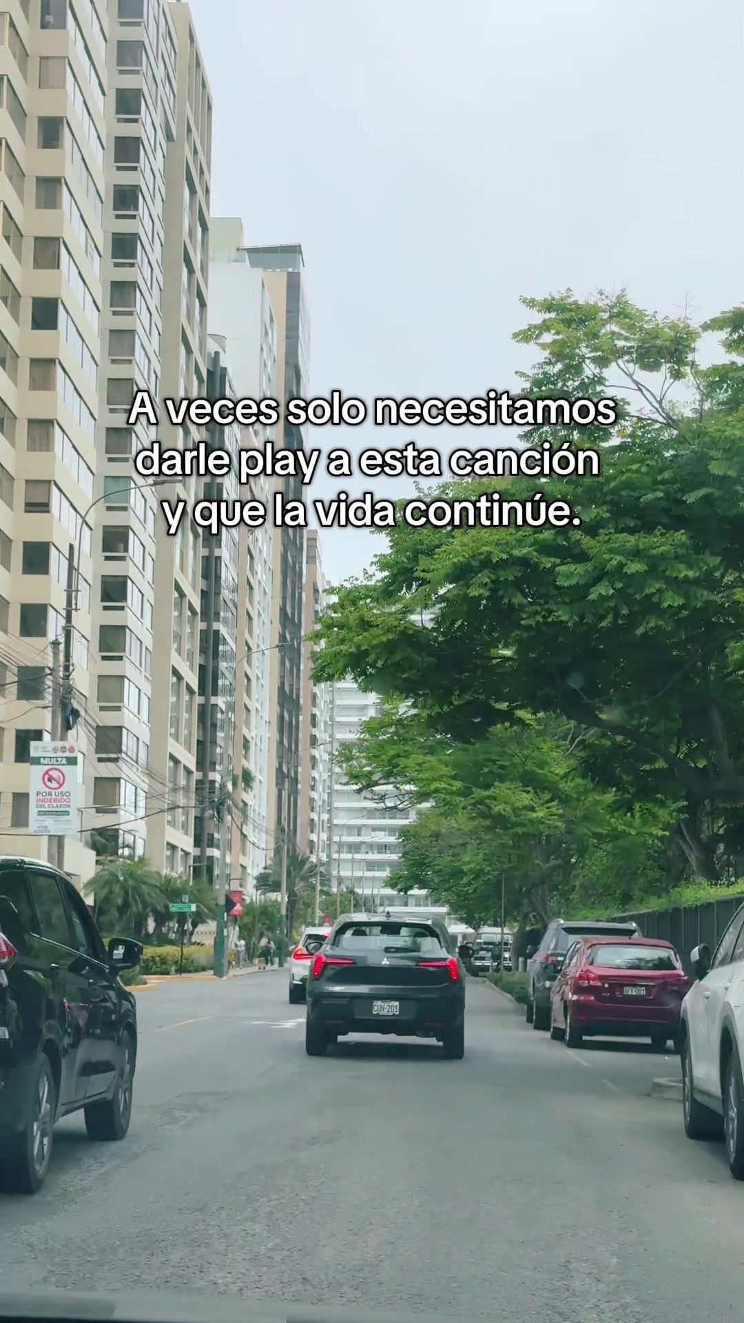 @AracelliBR ✨