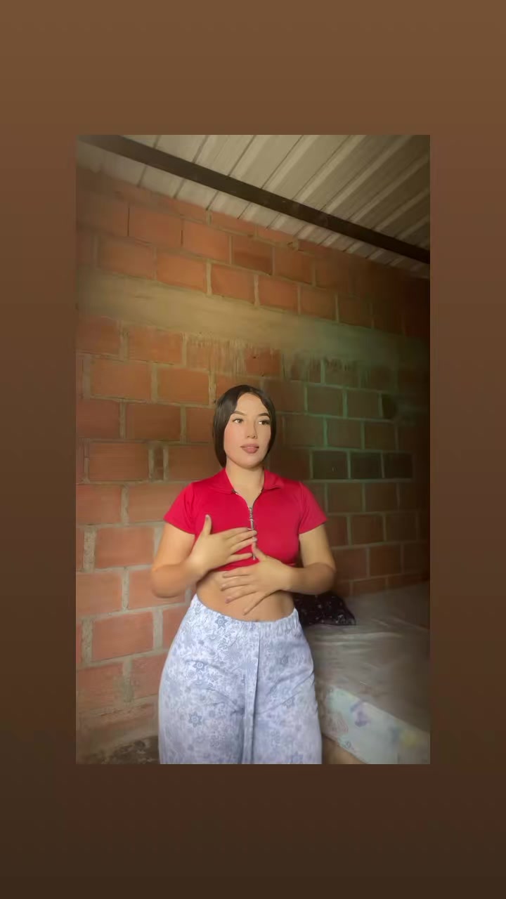@gato herrera