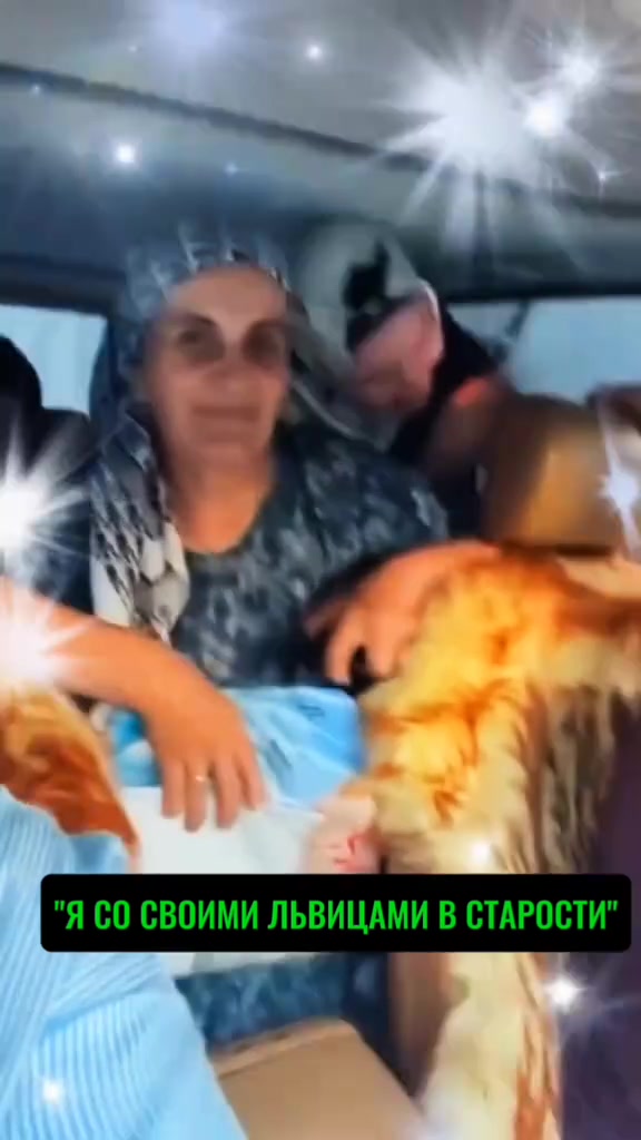 @Николаевна🫦 🇷🇺31🇷🇺🫦