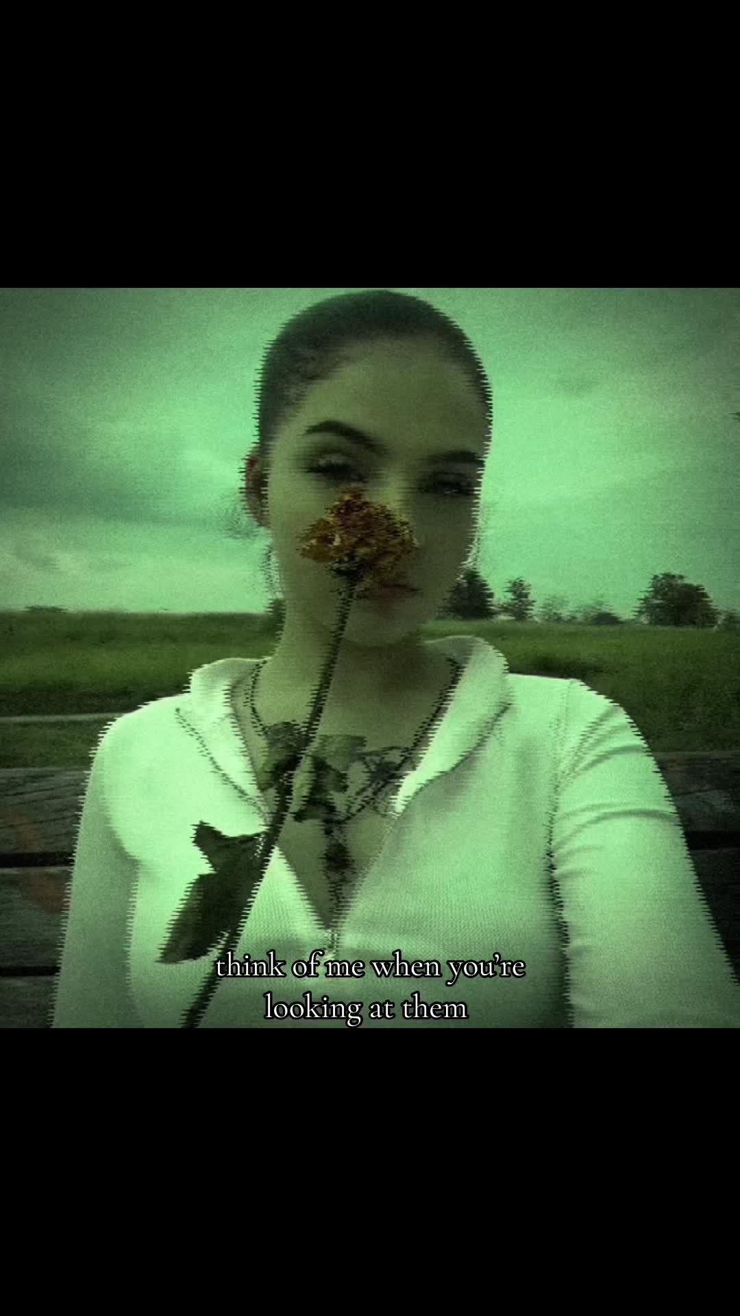 @maya